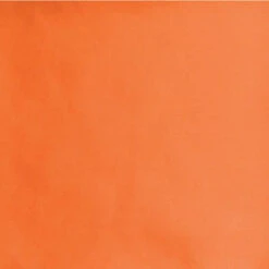 Wyoming Traders Solid Silk Wild Rag Scarf - Orange