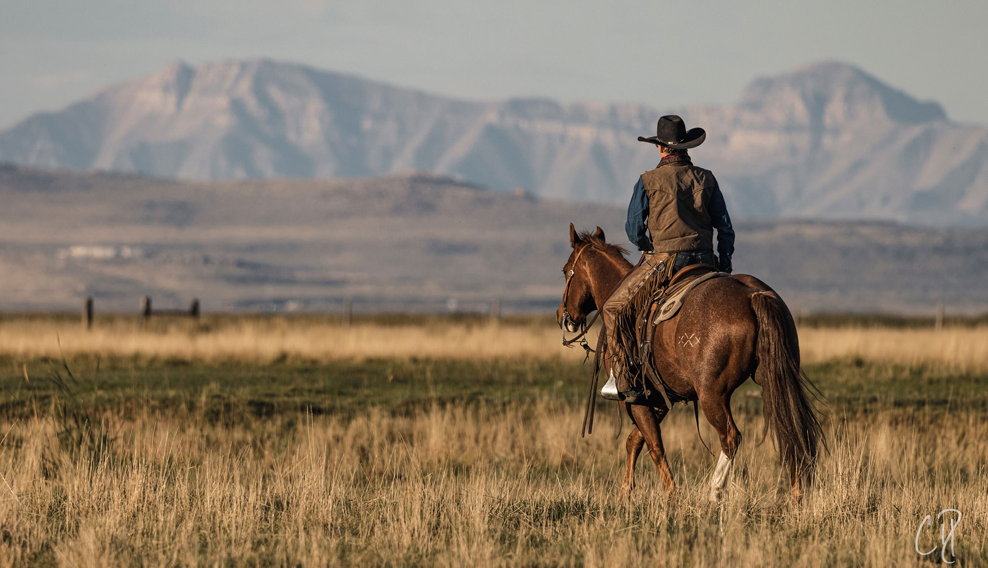 The Cowboy Shirt Sales Store -The Cowboy Shirt Sales Store Herring Custom