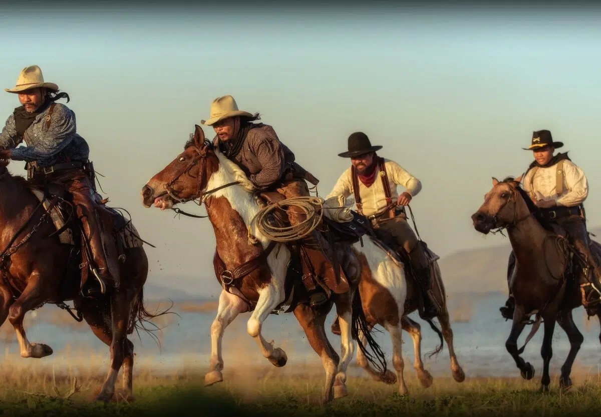 The Cowboy Shirt Sales Store -The Cowboy Shirt Sales Store cawdqwf